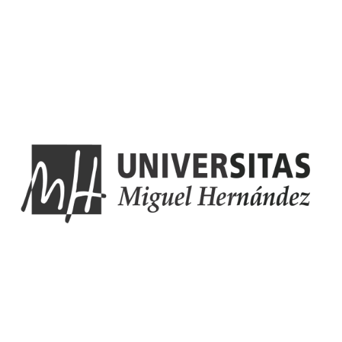 Servicio de Comunicación de la Universidad Miguel Hernández, estudios de Elche y Sant Joan.
